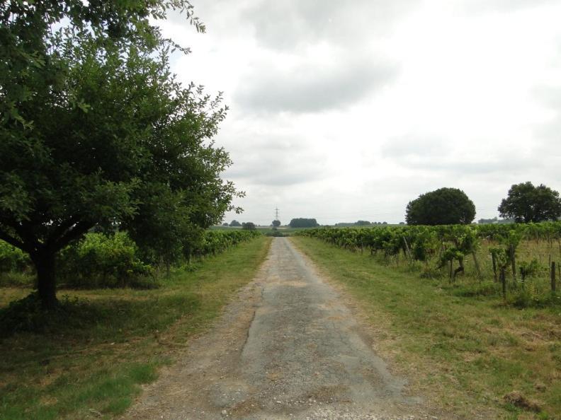 Chateau Monichot Organic Vineyard Tauriac  Exterior photo