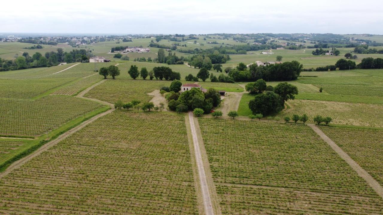 Chateau Monichot Organic Vineyard Tauriac  Exterior photo